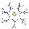 NEUROLOGY