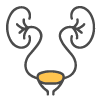 UROLOGY